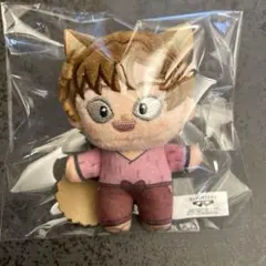 2025年最新】LINE TOWN ぬいぐるみの人気アイテム - メルカリ