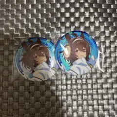 アグネスタキオン　コスモピュエラ　缶バッジ　ウマ娘 2026年最新】アグネスタキオン アクリル コスモピュエラの人気アイテム