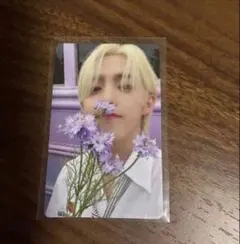 SEVENTEEN セブチ 消費期限 フラッシュプライス盤 トレカ コンプ①