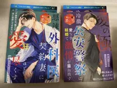 【特典付】愛の極～冷徹公安警察は愛なき結婚で激情が溢れ出す　他1冊