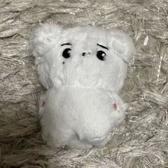 ジョンウォン　30センチ　ぬいぐるみ　ヤンコミ ENHYPEN ジョンウォン ぬいぐるみ ヤンコミ 10cm マスター - メルカリ