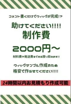 ウィッグオーダー【11月〜12月受付中」