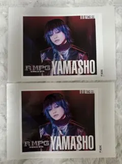 THE RAMPAGE レモンスカッシュ 山本彰吾 ラベルのみ 2枚