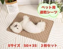 Item thumbnail for item a9d04335-0632-43e1-8044-5fc2a617a84b