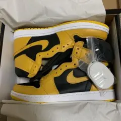 NIKE AIR JORDAN1 RETRO HIGH OG POLLEN