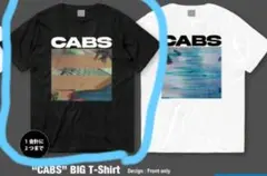 the cabs ⑥ デモcd いたいのいたいのとんでけ / タッチ the cabs -タッチ - YouTube