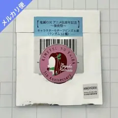 鬼滅の刃 伍周年記念 後夜祭 キャラクター モチーフピンズ 栗花落 カナヲ 鬼滅の刃 伍周年記念 後夜祭 キャラクター モチーフピンズ 栗花落