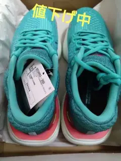 Nike zoomX　INVINCIBLE フライニット2（24.5）