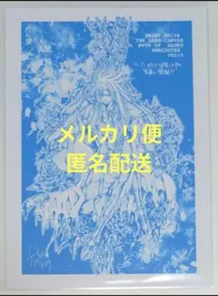 聖闘士星矢THE LOST CANVAS冥王神話外伝特典ペーパー乙女座アスミタ