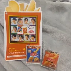 新品未使用　カルビークリスプSnowManリーフレットミニチュアチャーム二種類