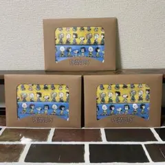 【未開封品】 スヌーピーライン キッチンクロス2枚組 3個セット