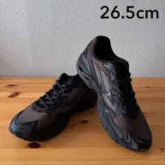 MIZUNO×VAINL ARCHIVE / WAVE RIDER 10 VA