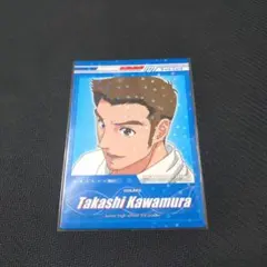 テニプリ　トレカ　カード　プリンスカード　青学　　フルコンプ　９枚セット テニプリ トレカ カード プリンスカード 青学 フルコンプ 9枚