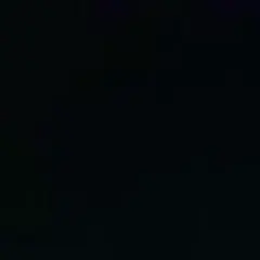 シュウ様　XL ブラウン