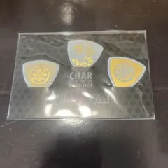 CHAR ZICCA ICCA FUN FAN TOUR 2025 ピック