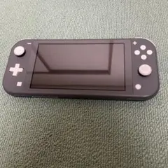 Nintendo Switch Lite グレー 本体値下げ交渉可能です