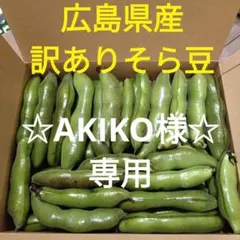 ☆AKIKO様☆専用 広島県産 訳ありそら豆