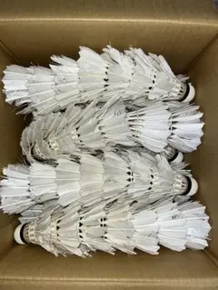 バドミントン 中古シャトル18球 - メルカリ