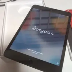 iPad mini5 セルラー 64GB 美品 バッテリー良好