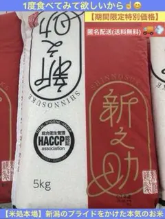 1度食べてみて【期間限定価格】新潟の新ブランド米『新之助』5kg★送料無料★のサムネイル