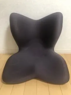 MTG スタイルプレミアム ブラック　中古　骨盤矯正　腰痛　姿勢 Style 姿勢ケアシート PREMIUM スタイル プレミアム MTG 骨盤