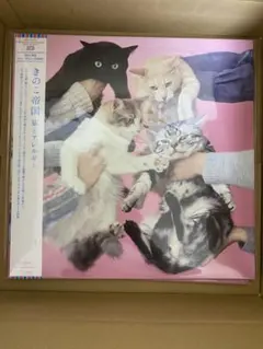 【未使用、未開封】きのこ帝国 猫とアレルギー LPレコード きのこ帝国 - 猫とアレルギー【2LP】【レコード】 – Staghorn