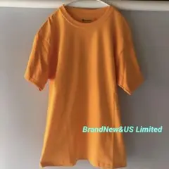 【新品未着用/日本未発売/米国購入】チャンピオン ヘビーウェイト 目無しT M