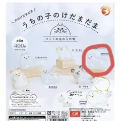 うちの子のけだまだま　犬　三角たれみみ