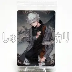 カドック・ゼムルプス(シークレット)【FGO】チケットライク