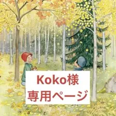Koko様ご専用　⭐︎ 3点追加購入分 ⭐︎