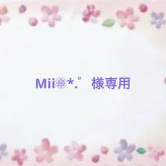 Mii❁⃘*.゜様専用