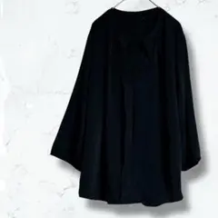 2585＊リリヤーノ＊プルオーバーシャツ 黒 3L 無地 長袖オフィスカジュアル