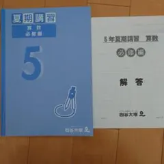 2026年最新】四谷大塚 夏期講習 5年の人気アイテム - メルカリ