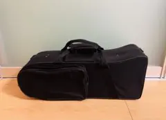 Item thumbnail for item fa3566df-cb0c-4f8f-bc7e-532c7d0c265e