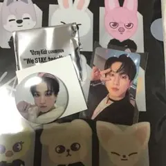 Stray Kids チャンビン　缶バッジ　Exhibition 購入特典トレカ