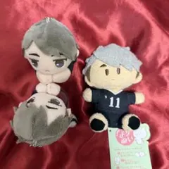 R*A様 ハイキュー よりぬい 宮治 治 はぐキャラ