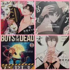 BLコミック３冊セット╱まとめ売り