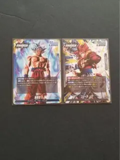 FS09 リーダーカード 2枚セット DUAL EVOLUTION