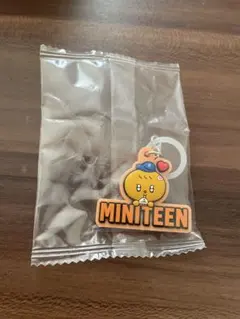 Item thumbnail for item 28cc89cf-a0ab-47c8-9313-fe242d10e61c