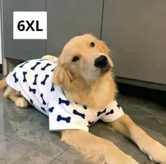 【新品未使用】犬用ウェア 骨柄 Tシャツ 白 黒 6XL 中型犬 大型犬 夏のサムネイル