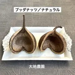 Item thumbnail for item 572eb9bc-3bbd-4800-a177-8d8d7535ed4c