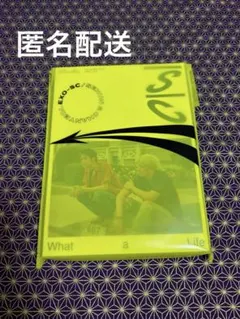 EXO SING FORYOU チャニョル　台湾盤　韓国　中国　CD 新品未開封 EXO SING FORYOU チャニョル 台湾盤 韓国 中国 CD 新品未開封 - メルカリ