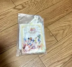 [非売品]ディズニーランド 40周年 スーベニアチケットホルダー