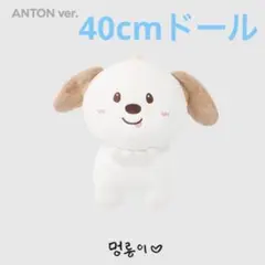 RIIZE RIIZING DAY リズコ40cm ドール ぬいぐるみ RIIZE -40CM DOLL / 2024 FAN CON [RIIZING DAY FINALE] 2ND