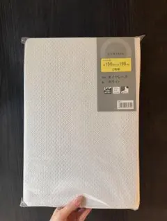 Item thumbnail for item 96289bd8-cd5d-4167-b21f-594705457565