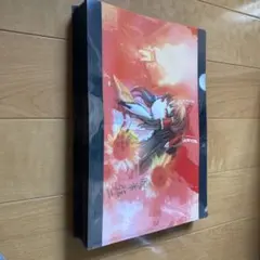 东方Project透明文件夹，一套10个（全新未使用） - メルカリ