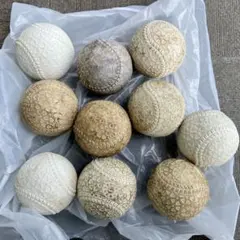 Item thumbnail for item 43efe664-1b83-4a35-b21f-095a1b3cb3d1