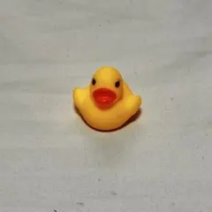 Item thumbnail for item 21d91980-5384-4c09-826a-e227cb338e8e