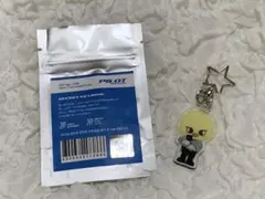 StrayKids　スキズ　ペンミ　PILOT　フィリックス　Felix　ポガリ