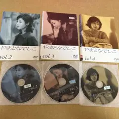 【特価品】︎ やまとなでしこ DVD 3卷セット レンタルのサムネイル